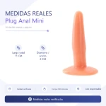 00-101-21-plug-anal-mini-placa-medidas-59a42fab9edc421cac86ecfadb800f2e.webp