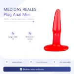 00-101-54-plug-anal-mini-placa-medidas-559fc40e43d94a4cadae263261260f6e.webp