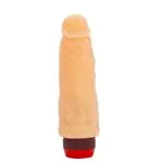 10-200-31-vibro-realistico-sin-testiculos-3e424c9c120d4fb3b313a0c57db87834.webp
