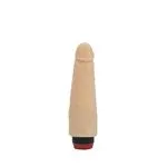10-202-31-vibro-realistico-sin-testiculos-027f903ef0ca45d9bc1e19f0be097515.webp