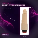 10-202-31-vibro-realistico-sin-testiculos-placa-medidas-e2fd3bbde1d94c40b536986138121df3.webp