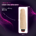 10-204-31-ciber-vibe-sean-davi-l-placa-medidas-a7144b32116e473abc889b4adc76d3bd.webp