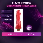 10-406-54-vibro-europea-jelly-placa-premium-1fb83c0f0cc44c8c8d5b8c7430cbeb7d.webp