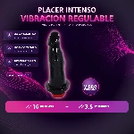 10-600-22-vibro-normal-negra-placa-premium-a3564a803e7240938c1a726213a1f1a0.webp