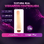 10-603-31-geminis-realskin-vibro-placa-premium-8ed4967850f04ee49c966512a5be9bb4.webp