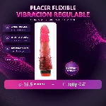 10-701-54-vibro-nino-nuevo-jelly-placa-premium-b7f7a5924e9b44d3bdc162b58f5b9602.webp
