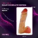 30-304-49-realistico-c-sopapa-y-testiculo-mulato-placa-medidas-4c5670180599465ebe965c90ba462510.webp