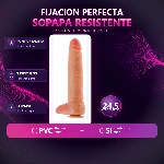 30-500-41-realistico-c-sopapa-y-testiculo-placa-premium-205297f326224e23b78d67fb979efc14.webp