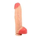 30-512-41-realistico-gigante-csopapa-y-testiculo-e8b2f55a4b7c4530bd5eaf1c324d362b.webp