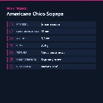 30-706-21-americano-chico-sopapa-placa-spec-a0558f35ce2040a4948fc056112968a2.webp
