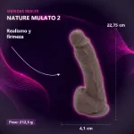 30-808-39-nature-mulato-n-2-17-x-4-cm-introducible-placa-medidas-452510c6fbd34de4b4e199562f6eb272.webp