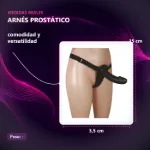 90-423-22-arnes-prostatic-placa-medidas-17b454511ecc4ba68e848dfd2c6b0a76.webp