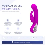 bi-014420-vibrador-webb-punto-g-clitoris-12-funcio-placa-ventajas-60996a46236245dcb372201f516f6c18.webp