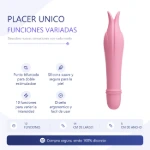 bi-014502-1-vibrador-edward-silicona-10-funciones--placa-premium-410c42bb76a94d4a95fce5a33b26d20e.webp
