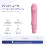 bi-014510-1-vibrador-stev-10-funciones-silicona-placa-premium-3f47b7e52e304b75a64645a30517c60e.webp