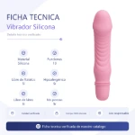 bi-014510-1-vibrador-stev-10-funciones-silicona-placa-spec-dbb3defa0d2741df84cee36c5ae97935.webp