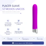bi-014612-vibrador-randolph-12-funciones-silicona-placa-premium-6834eebb4623484db219b04f71603017.webp