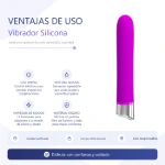 bi-014612-vibrador-randolph-12-funciones-silicona-placa-ventajas-ef012e6a58934b46858b1a88f1f38bea.webp