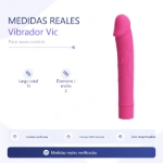 bi-014701-vibrador-vic-10-func-15cm-x-2cm-placa-medidas-ced7f1eafe294d6cb19f29015205aa69.webp