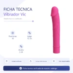 bi-014701-vibrador-vic-10-func-15cm-x-2cm-placa-spec-9c9368abf9e041f49cf8d80812350d20.webp