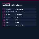 bi-210137-anillo-vibrador-chester-silicona-placa-spec-bc8d2e7866a34eb3861021f084c3fdb2.webp