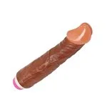bw-001064-vibrador-fantasy-vibe-multispeed-23cm-x-4cm-498d8cdf761d4485a8715c2282d4a351.webp