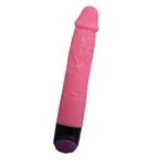 bw-006080r-vibrador-multispeed-pink-23cm-x-4cm-05bac7cb0fee4973a86912dc77a1411d.webp