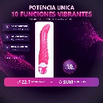 bw-047002-vibrador-10-funciones-sumergible-22cm-x--placa-premium-ea75eef5292548e89a4252f48db769f9.webp
