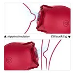 d3605-midnight-rose-succionador-multifuncional-recargable-usb-b0632b5d197a471892f858eaca35f37c.webp