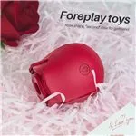 d3605-midnight-rose-succionador-multifuncional-recargable-usb-b500f305bbe54756a8a1b1ed574b71a5.webp