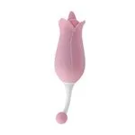 d3801-dora-3236e64b15ec441cadd17c3a2e169f49.webp