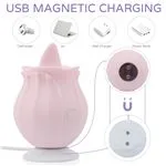 d3802-sweet-nectar-lengua-multifuncional-recargable-usb-ba242ea282a944999dd81223f1471a58.webp
