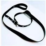 fa-0607-01-collar-con-correa-negro-0a559c8ef1c247858693b4b701e996bb.webp