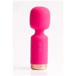 fn-t0602-vibrador-small-rosa-1181db4b78dd4f0991c18e2e8f730551.webp