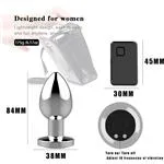 fn-t2013-plug-vibrador-anal-plateado-c9031-37515c0d72f7472cb8c5de8040484ed8.webp