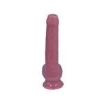ft-131099-consolador-realista-signature-05-de-silicona-liqui-68e72cc0b304404c9404a067c5db8d29.webp