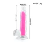 ft-181512-dildo-neonflux-pink-df781aa844bb42c0b0462c29a58cdacf.webp