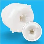 ft-181537-masturbator-glidemax-c65a68e1c1b3451993daa67153c10bde.webp