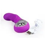 ft-342615-vibrator-lyria-e6b6834a65b84db29dfd0b9db0ab8392.webp