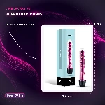 ft-342636-vibrator-paris-placa-medidas-eae62d91761749d1814e8c07f869165d.webp