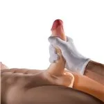 ft-371267-herculex-realistic-male-torso-with-erect-dildo-penis-and-vibrator-c8bf4a8785b44a3c8a1d6947.webp