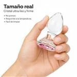 ft-432323-glass-anal-plug-gemma-rosa-small-886c6cfe86ce4008a7de4b0f0580d1de.webp
