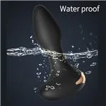 ft-471198-anal-vibrator-deepsync-4c7effc5239a4e31a7d52d2afd110690.webp