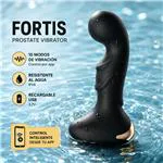 ft-471283-prostate-vibrator-fortis-39797ef8001141c48743e2d259b77053.webp