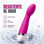 ft-471317-vibrator-serica-826df8ae79fa4a70bba6ac61452e4c4e.webp