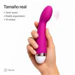 ft-471317-vibrator-serica-d5199ddd423549e8b87e594c866e7743.webp