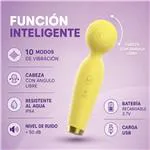 ft-471351-vibrator-solis-74e650642a794e0d9101aeed54fe9a22.webp