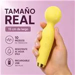 ft-471351-vibrator-solis-e55ac0dcd5ba463cb61a8fe6c248e7a5.webp