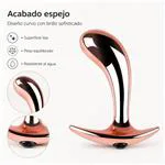 ft-570347-anal-plug-ergo-rose-metal-small-20bddc8c786c4543ab38734ea3a64069.webp