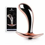 ft-570347-anal-plug-ergo-rose-metal-small-8005409926694c0b86d1c8f5758f916d.webp